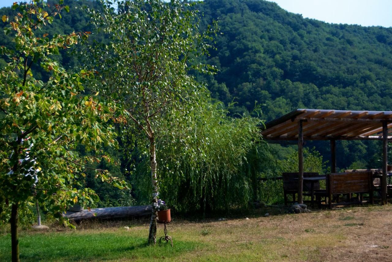 La Sereta บุซัลลา ภายนอก รูปภาพ